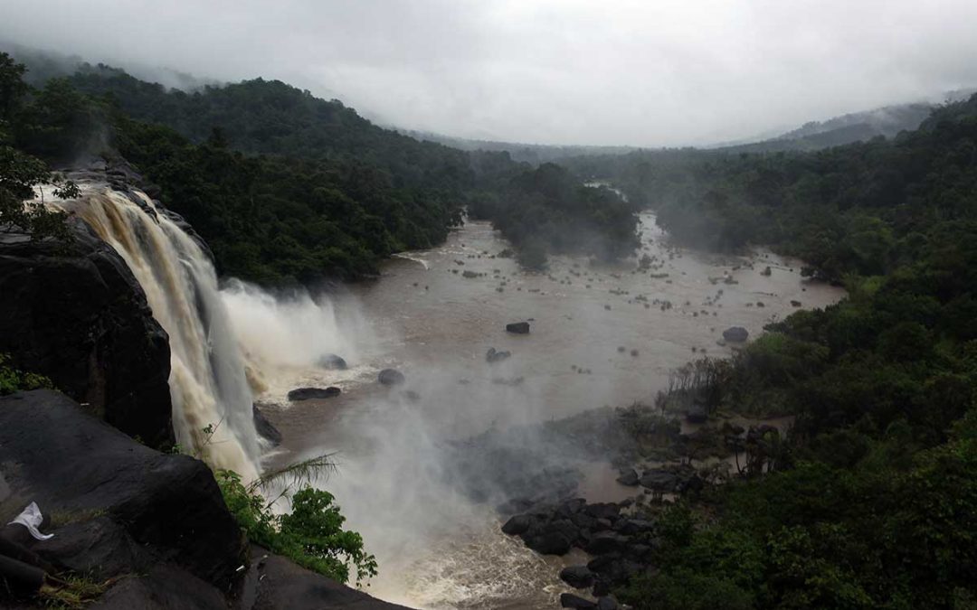 Kochi-Athirappilly and Vazhachal-Munnar-Thekkady-Kumarakom-Alappuzha-Kochi