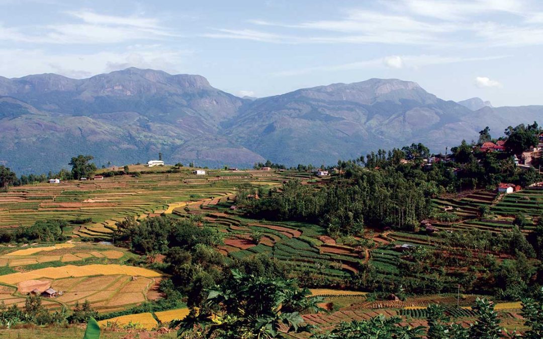 Kochi-Munnar-Thekkady-Marari-Alappuzha-Cherai-Kochi