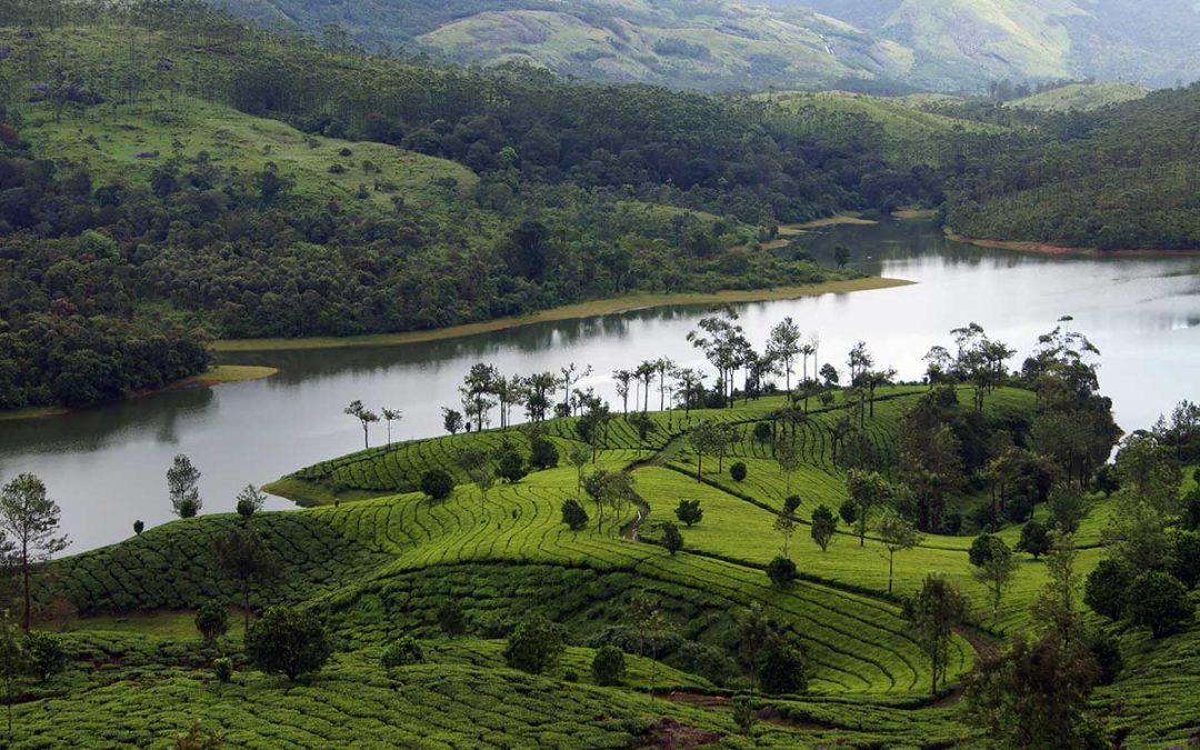 Kochi-Munnar-Alappuzha-Kochi