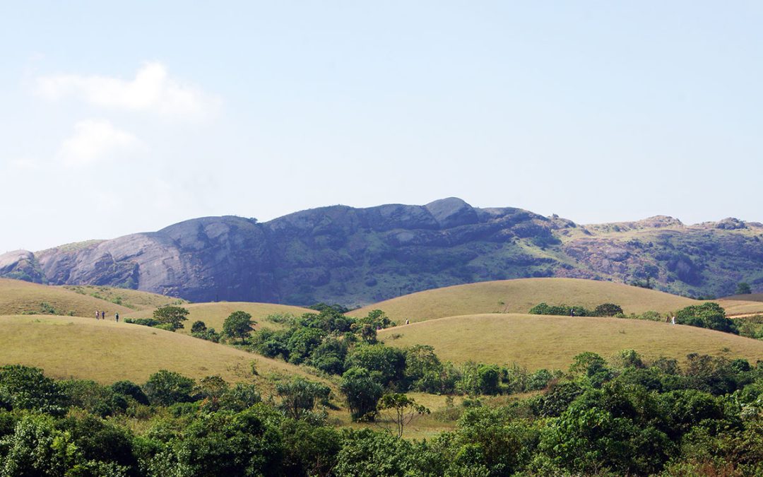 Kochi-Munnar-Vagamon-Kochi